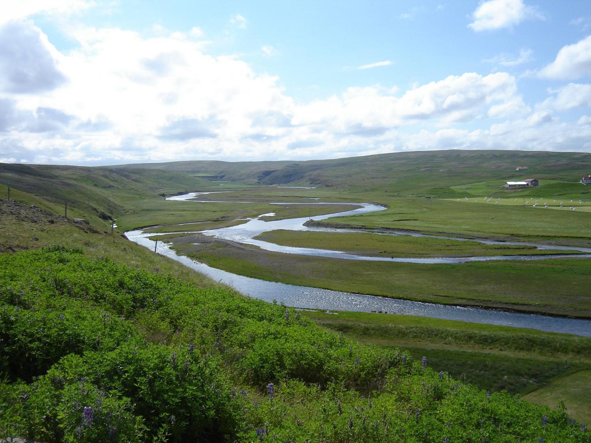 Daeli Guesthouse Víðidalstunga Kültér fotó